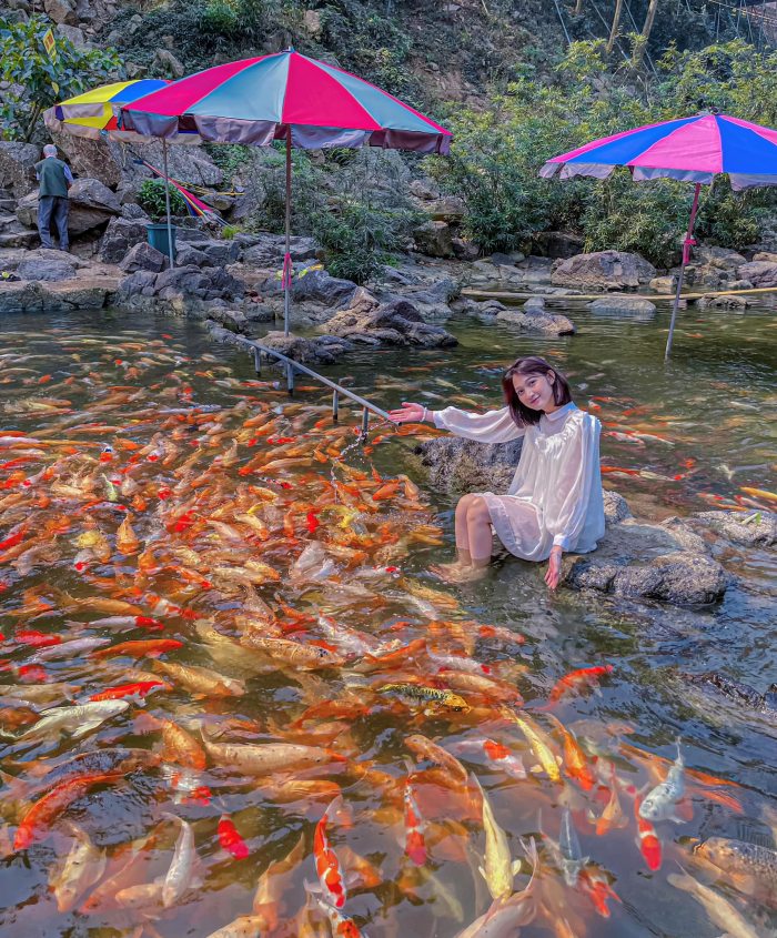 suối cá vàng Khe Tọ