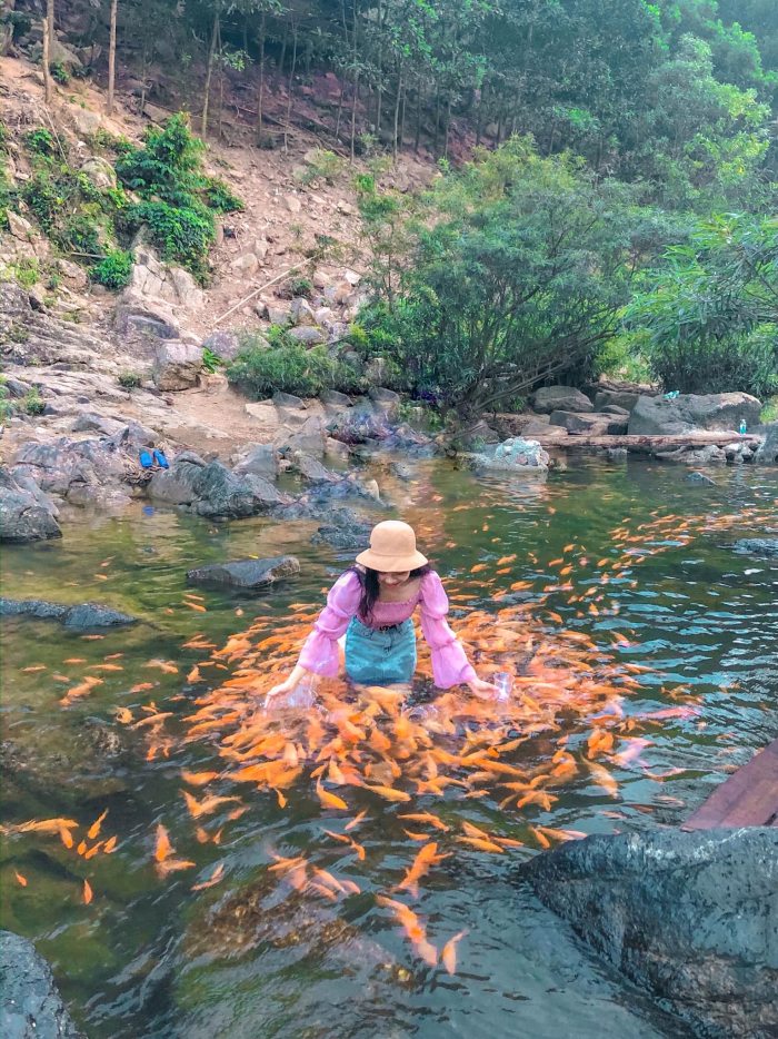 suối cá vàng Khe Tọ