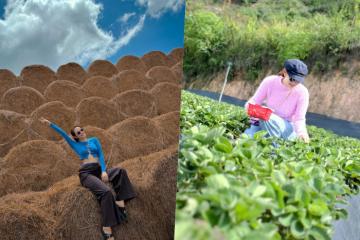 Minh Hằng du lịch Đà Lạt vi vu cafe bên suối, hái dâu thư giãn 
