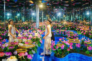 Mãn nhãn với triển lãm nghệ thuật đa giác quan Van Gogh và Monet tại TP HCM