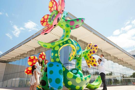 Những điều nên làm ở Sydney cho chuyến du lịch Úc tiết kiệm nhất