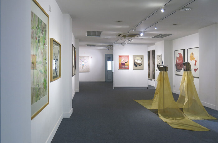 triển lãm tháng 6 ở Hà Nội - Khi linh hồn ta là cánh bướm