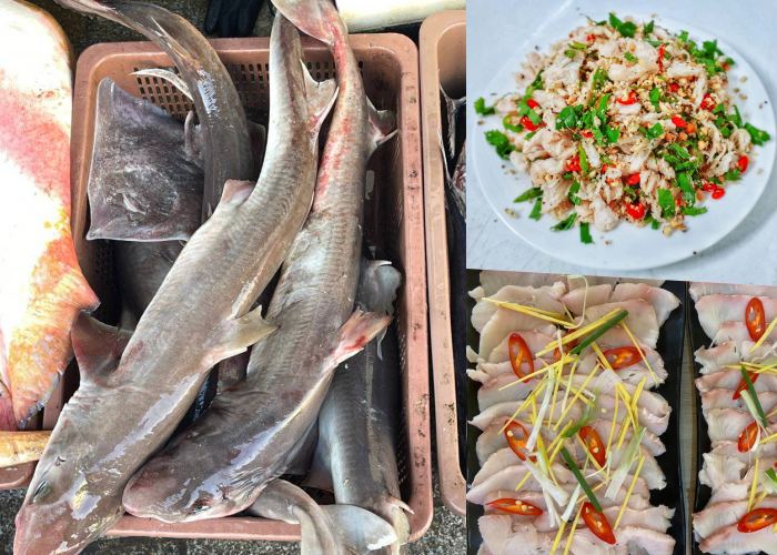 đặc sản độc đáo ở Quảng Bình Quảng Trị  cá ngeo