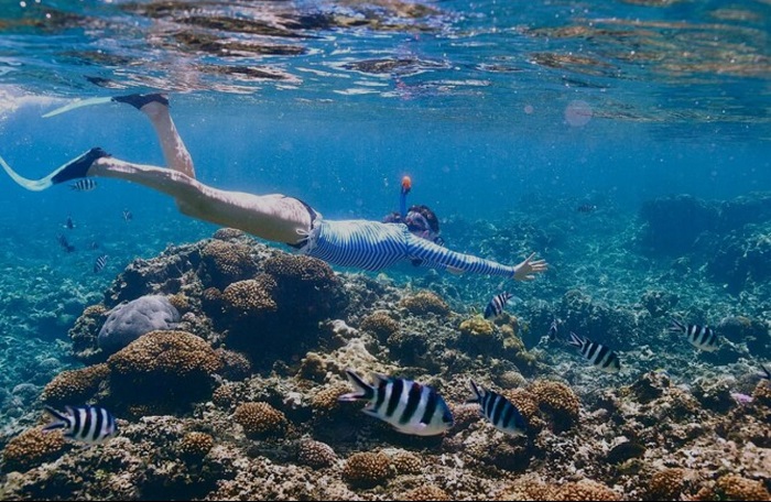 Khám phá Điểm du lịch mùa hè ở Việt Nam tại Hòn Mun Nha Trang