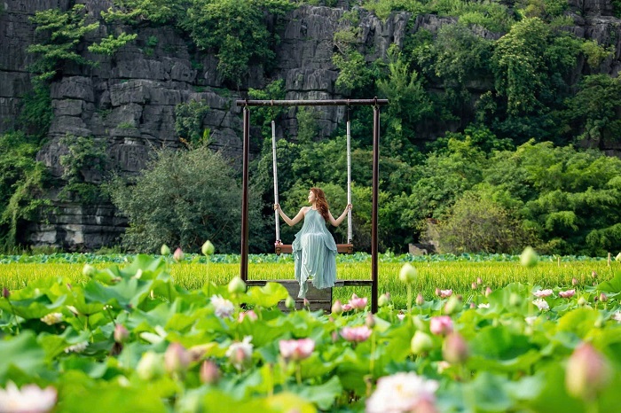 Ninh Bình là điểm du lịch mùa hè ở Việt Nam với mùa hoa sen cực đẹp