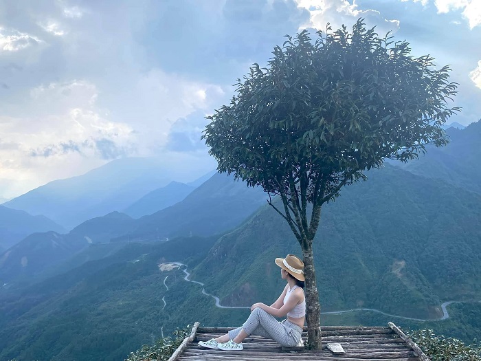 Cây cô đơn đẹp như tranh, cho bạn tha hồ sống ảo không kém Khu du lịch Cầu kính Rồng Mây Lai Châu