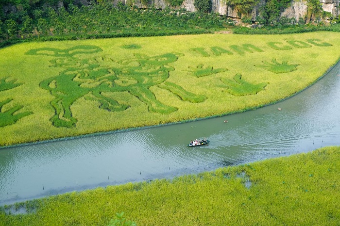 Kinh nghiệm du lịch Tam Cốc Bích Động tam Cốc đẹp tựa như trong tranh vẽ