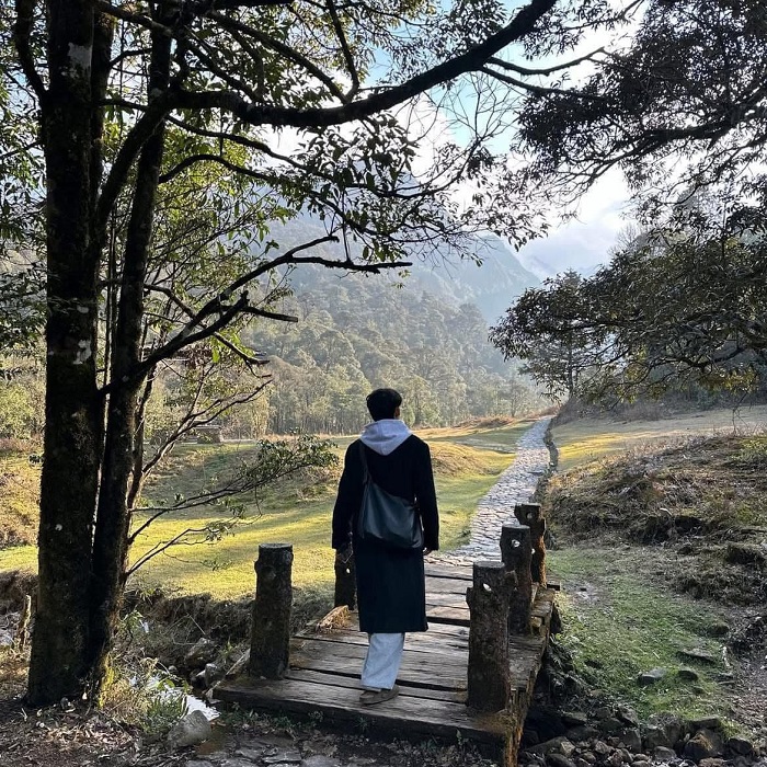 Bạn có thể tới Vườn Quốc gia Hoàng Liên Sa Pa bằng bất kỳ phương tiện nào