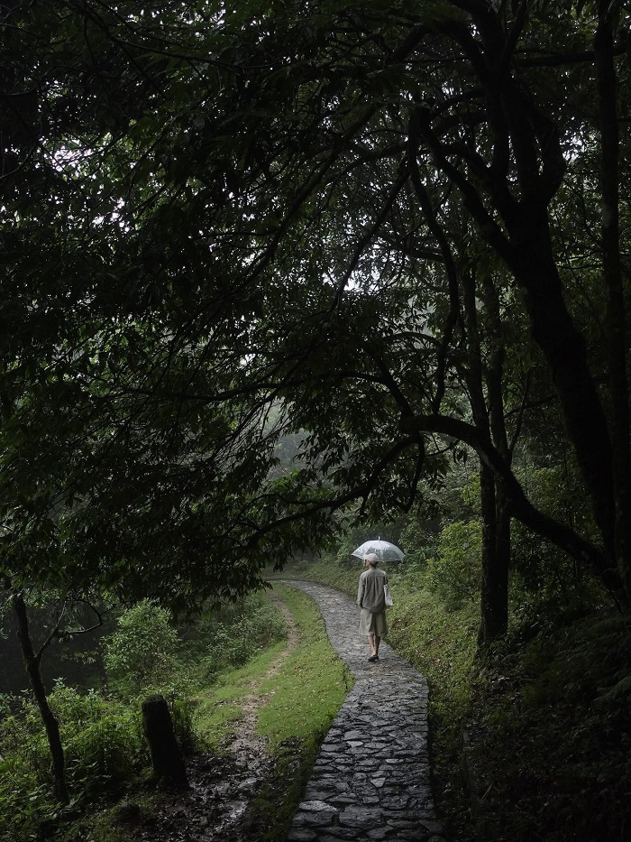 Khám phá thiên nhiên trù phú tại Vườn quốc gia Hoàng Liên Sa Pa