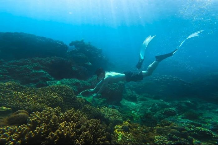 lặn biển Bãi Bấc Nhơn Lý