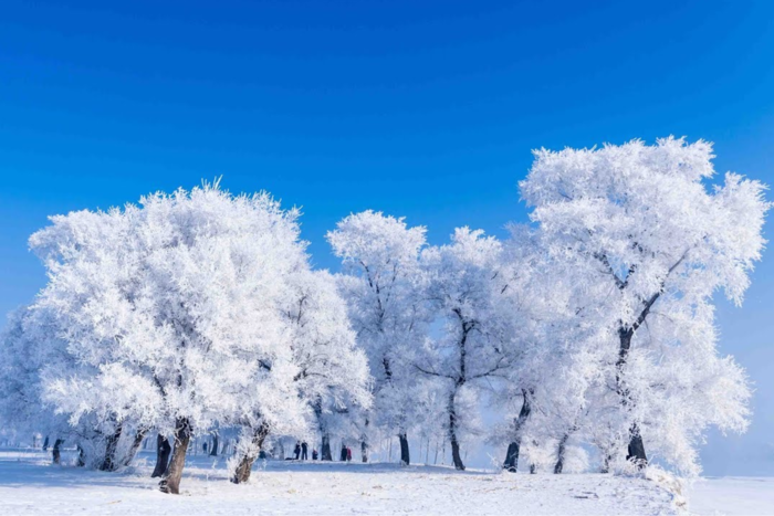 Chiêm ngưỡng khung cảnh thiên nhiên tuyệt vời ở Cát Lâm