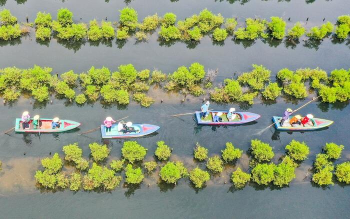 Cẩm nang du lịch Quảng Ngãi: Tham quan Bàu Cá Cái