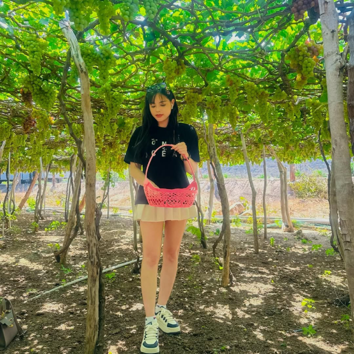 Trải nghiệm thu hoạch nho thú vị ngay tại vườn