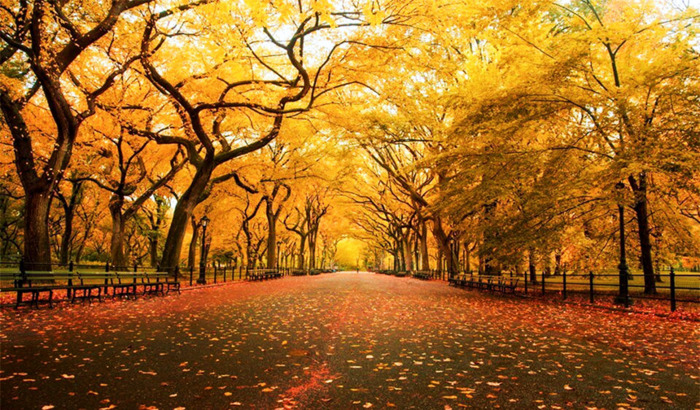 Du lịch Trùng Khánh Trung Quốc tuyệt đẹp