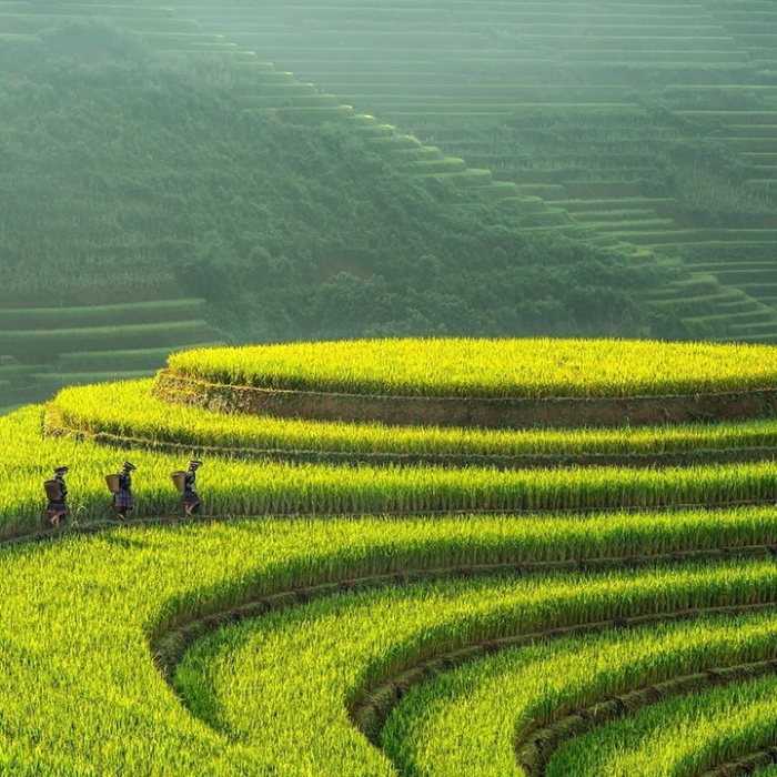 Yên Bái là vùng đất của thiên nhiên và văn hóa