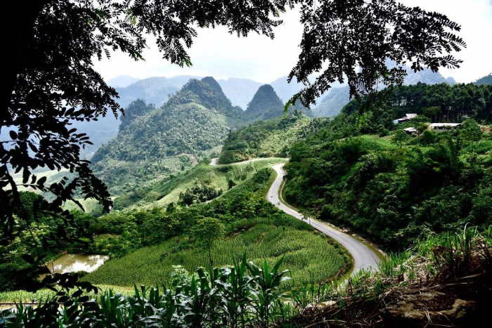 Khu bảo tồn là màu xanh bất tận của núi rừng