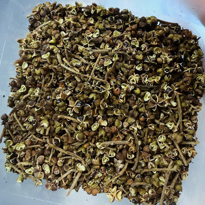 Mắc khén là yếu tố không thể thiếu trong mọi món ăn Yên Bái