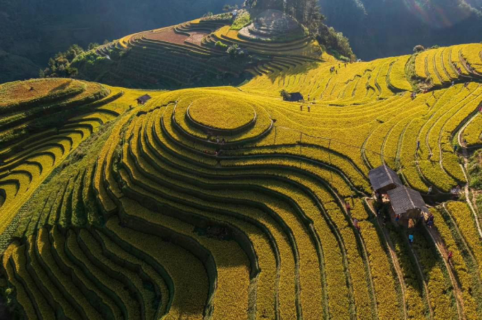 Mù Cang Chải hiện lên như 1 bức tranh hữu tình