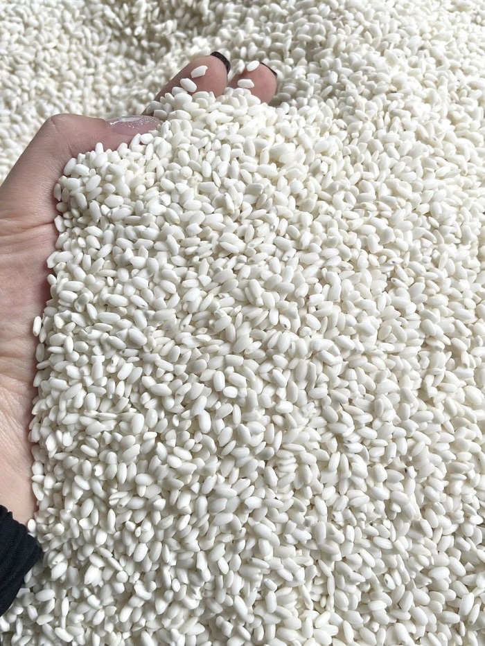 Gạo nếp Khẩu Nua Lếch - Đặc sản Bắc Kạn hạt to đẹp mẩy
