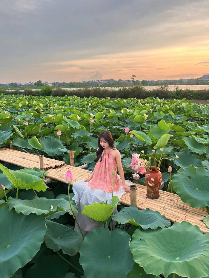 Đầm sen Âu Cơ Bắc Ninh nằm ngay trong trung tâm thành phố Bắc Ninh