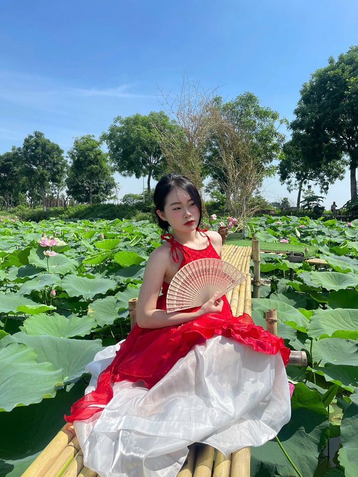 Nhất định phải tới đầm sen Âu Cơ Bắc Ninh để khám phá