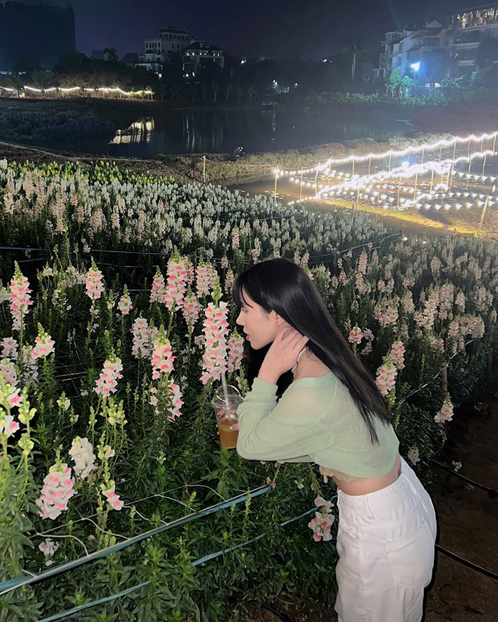 Thung lũng hoa hồ Tây là địa điểm check in Hà Nội