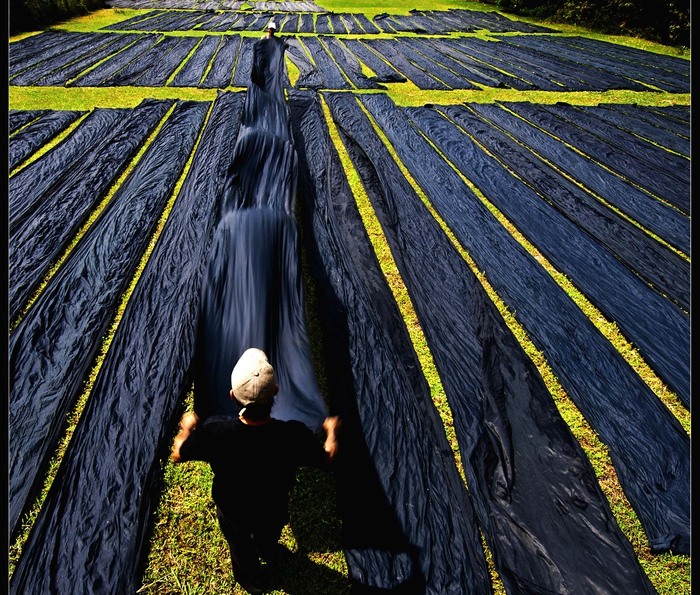 Ghé thăm các địa điểm du lịch Tân Châu An Giang - Làng lụa Tân Châu