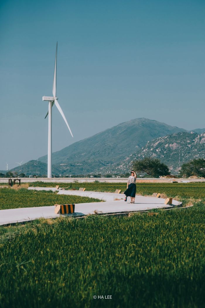 toạ độ Cánh đồng điện gió Đầm Nại Ninh Thuận toạ độ Cánh đồng điện gió Đầm Nại Ninh Thuận