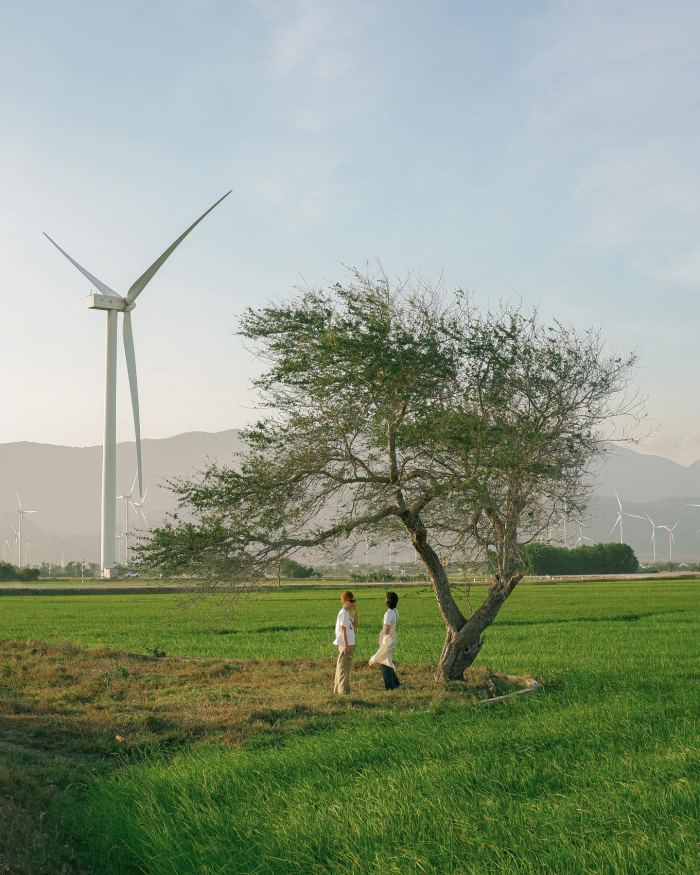 cánh đồng điện gió Đầm Nại Ninh Thuận đẹp theo mùa cánh đồng điện gió Đầm Nại Ninh Thuận đẹp theo mùa