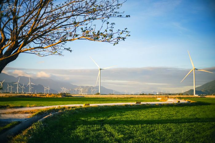 Vẻ đẹp Cánh đồng điện gió Đầm Nại Ninh Thuận Vẻ đẹp Cánh đồng điện gió Đầm Nại Ninh Thuận