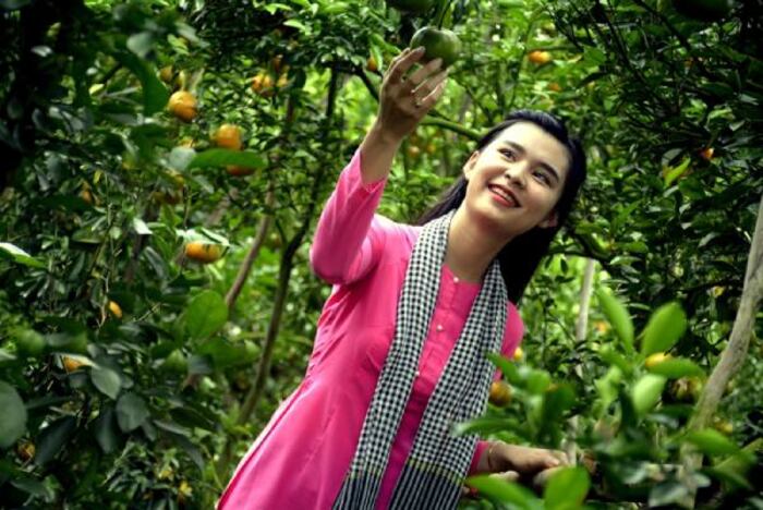 du lịch Cái Bề Tiền Giang vào mùa hè