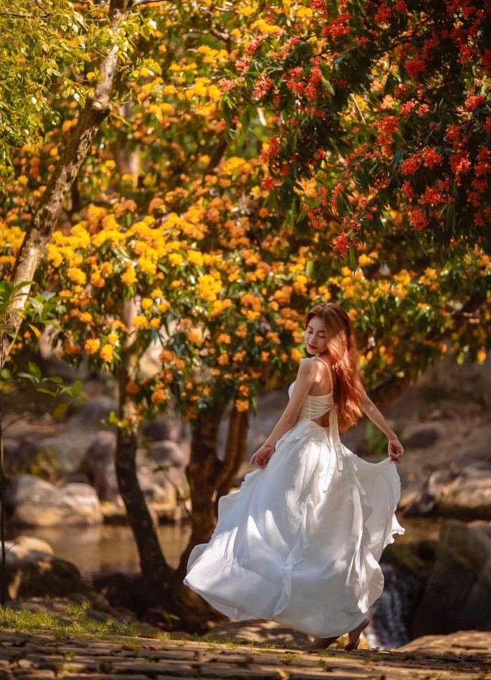 sắc hoa mùa hè ở Đà Nẵng hoa rù rì sắc hoa mùa hè ở Đà Nẵng hoa rù rì