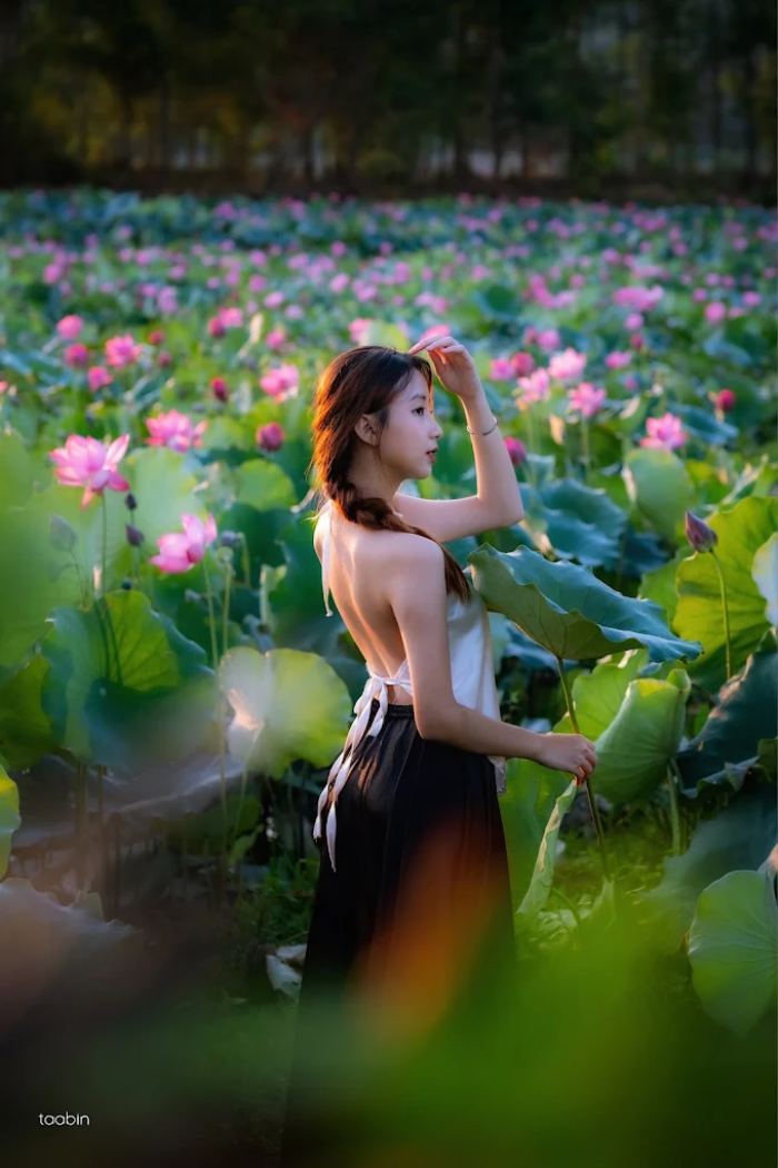 sắc hoa mùa hè ở Đà Nẵng hoa sen sắc hoa mùa hè ở Đà Nẵng hoa sen