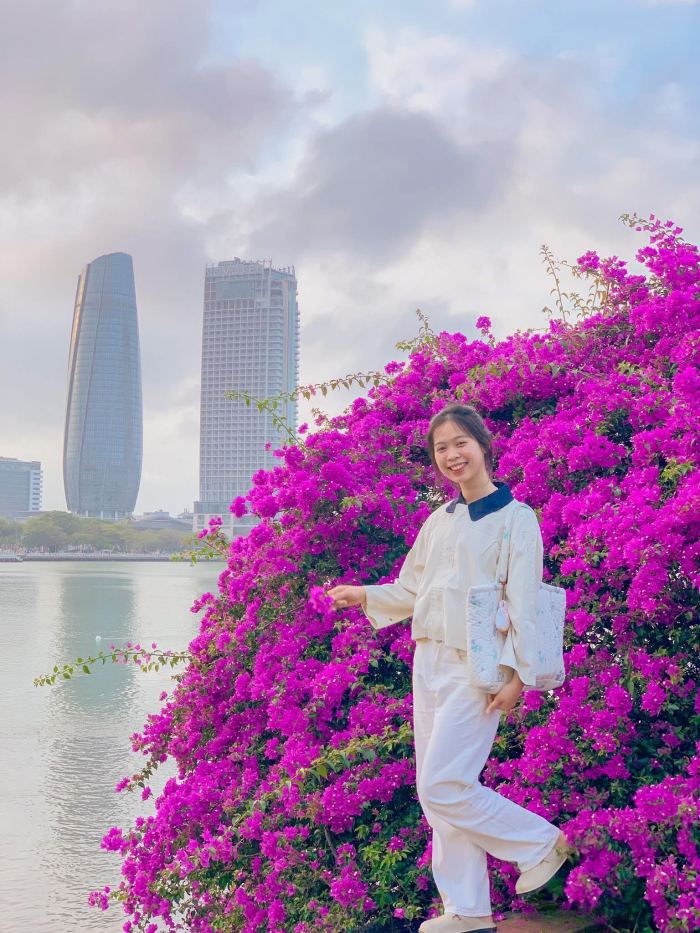 sắc hoa mùa hè ở Đà Nẵng hoa giấy sắc hoa mùa hè ở Đà Nẵng hoa giấy