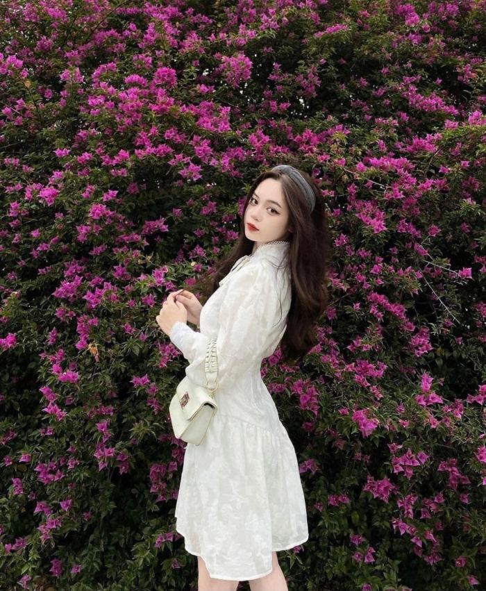 sắc hoa mùa hè ở Đà Nẵng hoa giấy sắc hoa mùa hè ở Đà Nẵng hoa giấy