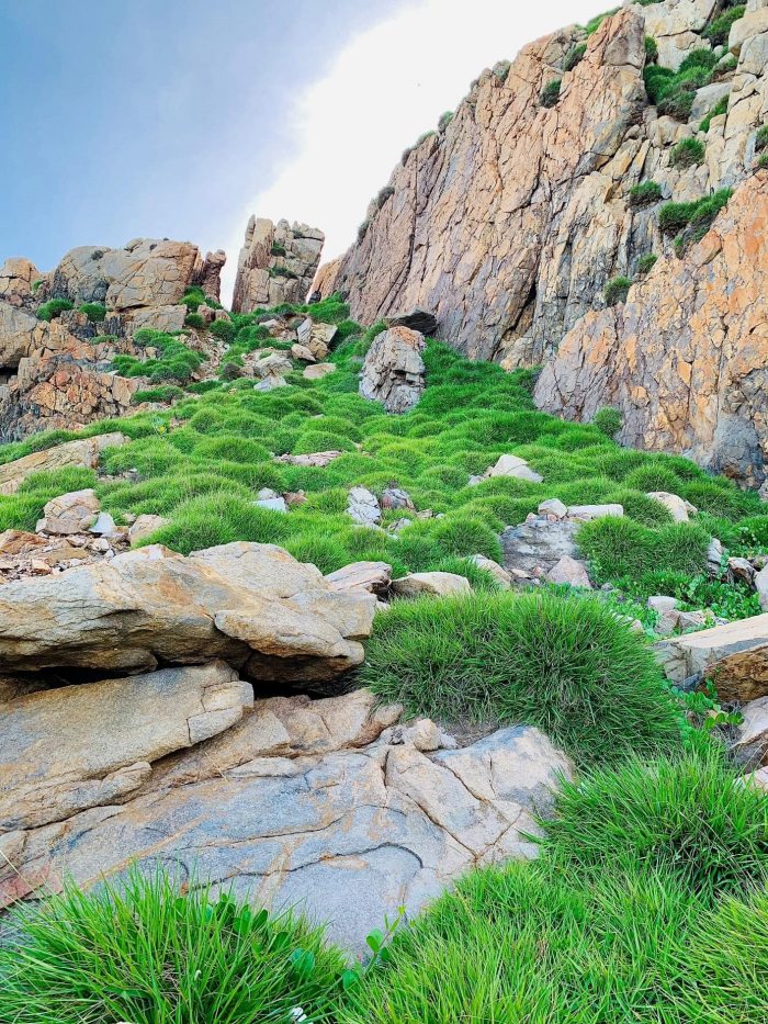 Hòn Chong Mỹ Tân vẻ đẹp của đảo Hòn Chong Mỹ Tân vẻ đẹp của đảo