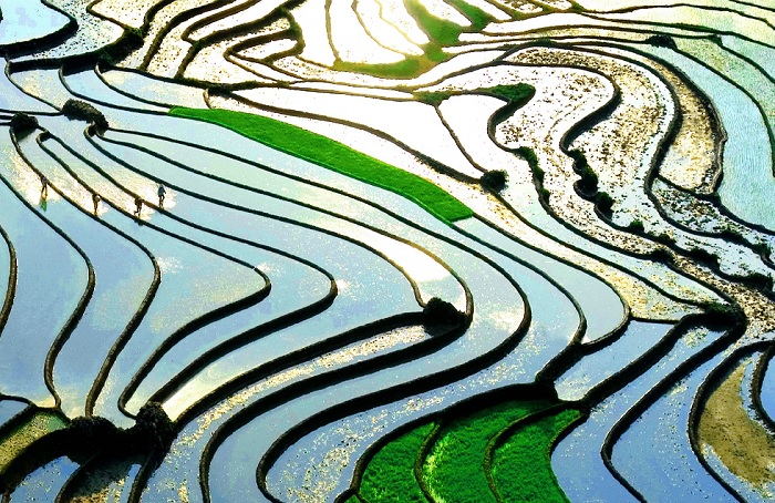 Kinh nghiệm du lịch mùa nước đổ Tây Bắc rằng mùa nước đổ diễn ra vào tháng 5 và tháng 6