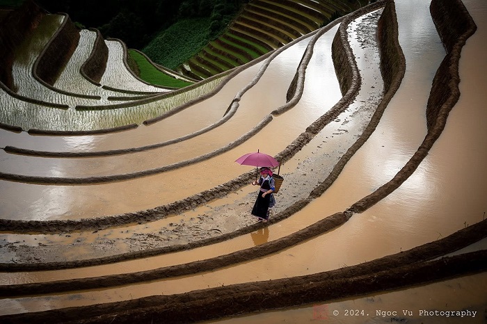 Kinh nghiệm du lịch mùa nước đổ Tây Bắc trên ruộng bậc thang Mù Cang Chải đẹp như tranh đẹp