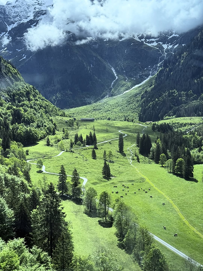 Mùa xuân (tháng 3 - tháng 5): Mùa của hoa nở và sức sống tại làng thiên thần Engelberg châu Âu