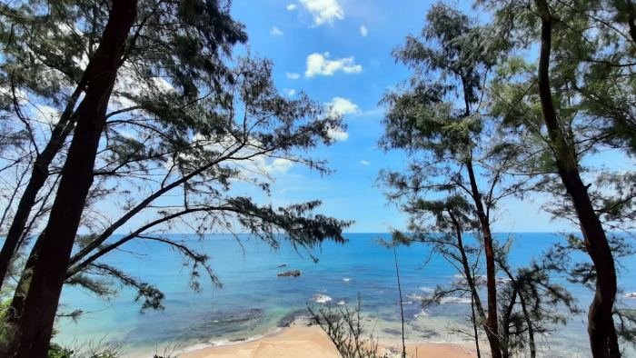 Mũi Si Quảng Trị Mũi Si Quảng Trị