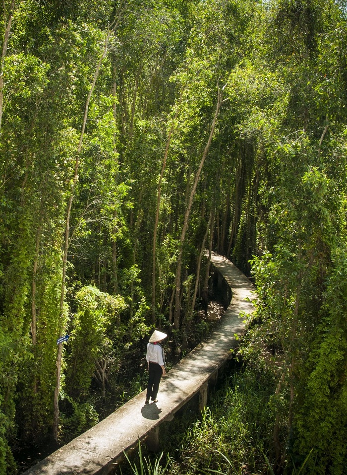 Điểm nhấn đặc biệt của rừng tràm Tân Lập chính là vào mùa nước nổi.