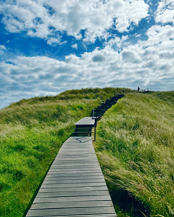  Lối mòn leo bộ dễ tiếp cận tại núi lửa eden New Zealand