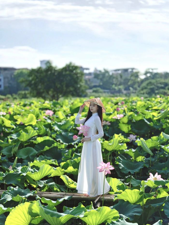 hồ tịnh tâm  quần thể di tích cố đô Huế 