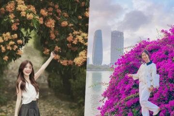 Đẹp ngẩn ngơ sắc hoa mùa hè ở Đà Nẵng hút hồn lữ khách