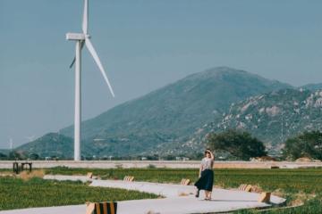 [Cập nhật] Cánh đồng điện gió Đầm Nại Ninh Thuận Khánh Hòa - 'vibe Hà Lan' ở Việt Nam