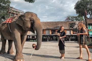 Du lịch Buôn Đôn Đắk Lắk Tây Nguyên: Về với mảnh đất của những chú voi