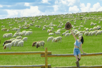 Hành trình rong ruổi trên lưng ngựa trong cẩm nang du lịch Nội Mông Trung Quốc