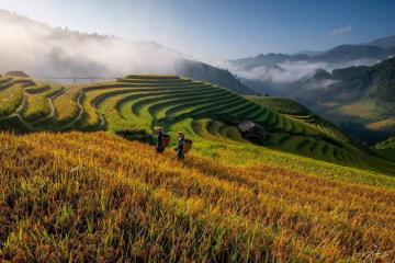 [Cập nhật] Cẩm nang du lịch Yên Bái Lào Cai cho người yêu du lịch