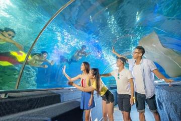 [Cập nhật] Lạc bước giữa thế giới đại dương tại 6 thủy cung đẹp ở Việt Nam