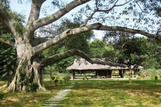 Khu di tích lịch sử Tân Trào - Cái nôi Cách mạng giữa rừng Việt Bắc